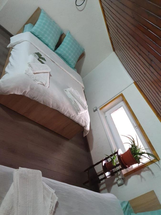 Casa Radu Hotell Tulcea Eksteriør bilde