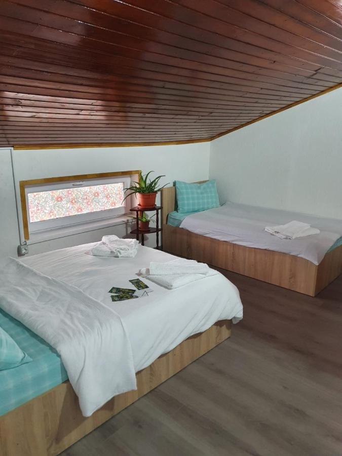 Casa Radu Hotell Tulcea Eksteriør bilde